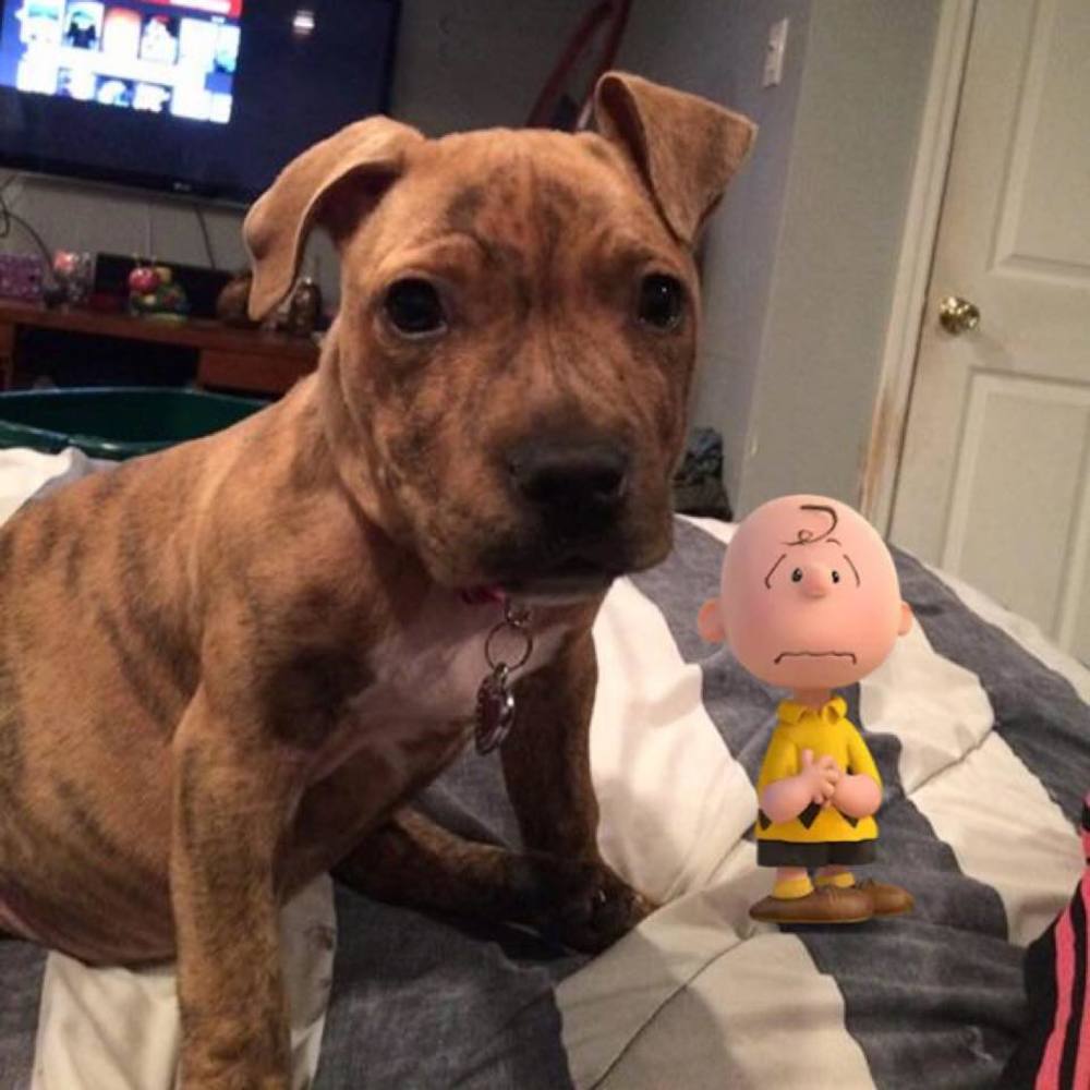 Meet your Posher, Kim